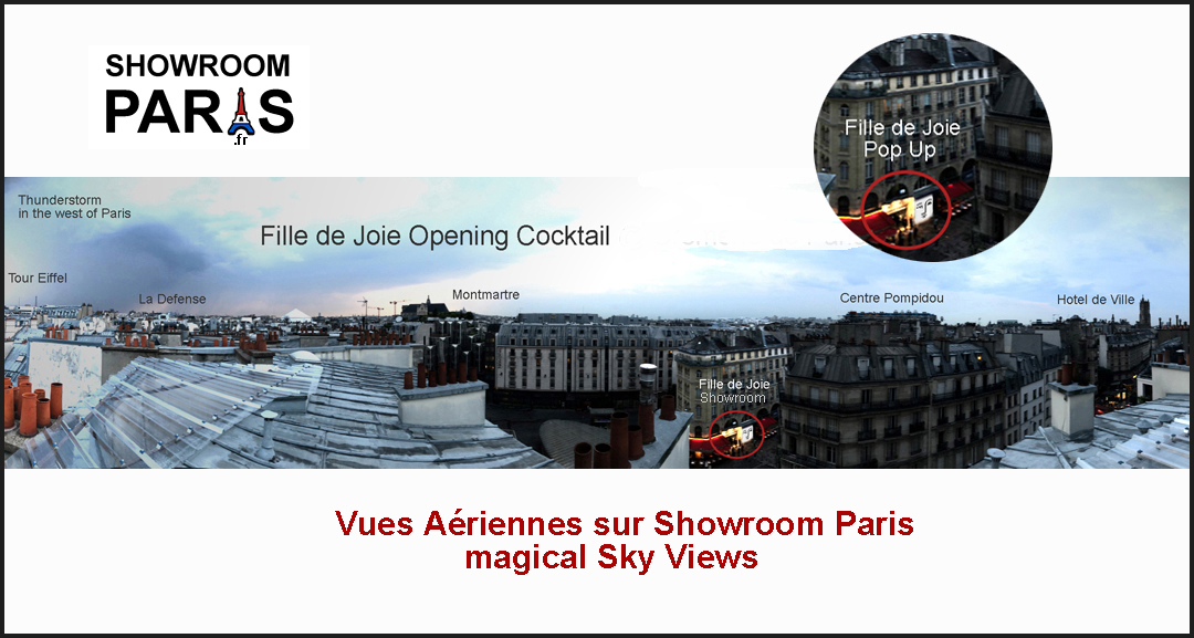vue aerienne sur Showroom Paris.fr